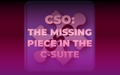 ¿Qué es un Director Comercial o CSO?