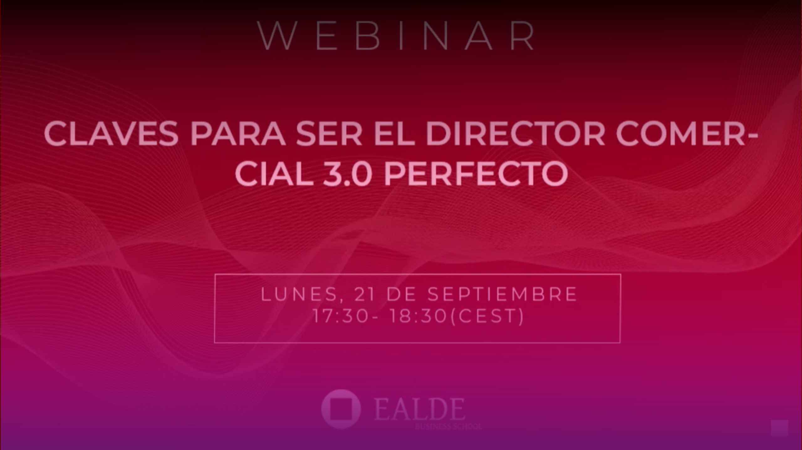 Director Comercial 3.0