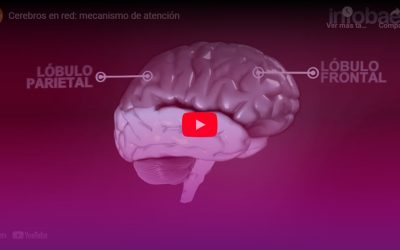 Comprendiendo el mecanismo de Atención