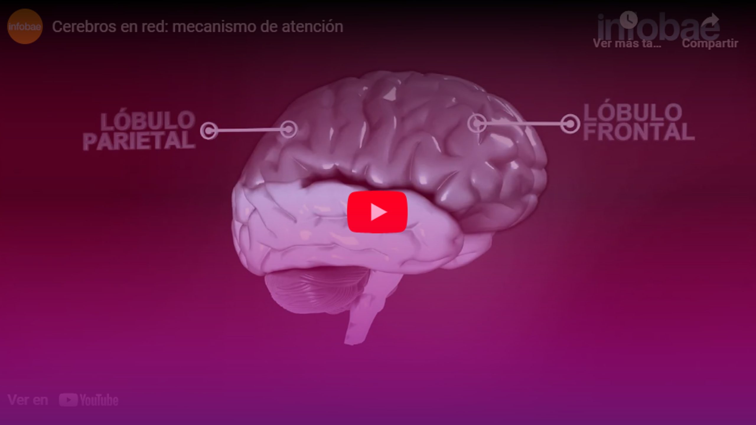 Comprendiendo el mecanismo de Atención