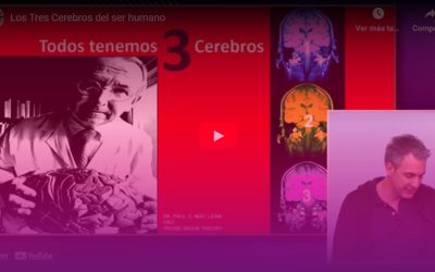 Los tres cerebros del ser humano