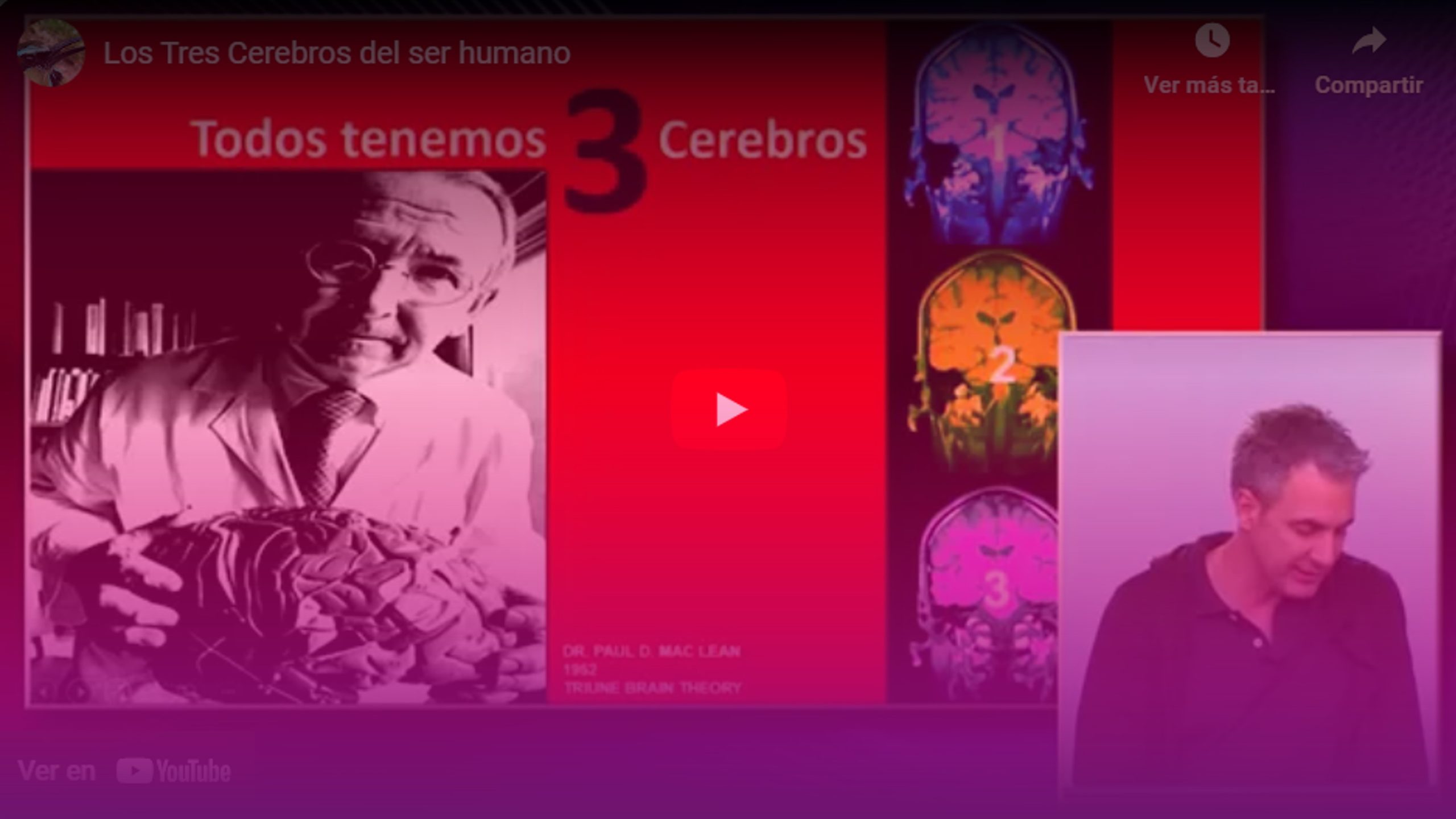 Los tres cerebros del ser humano